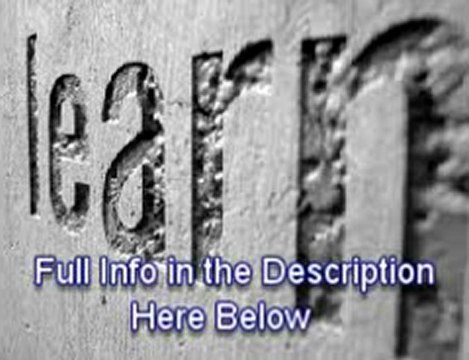 shaan stevens wellington