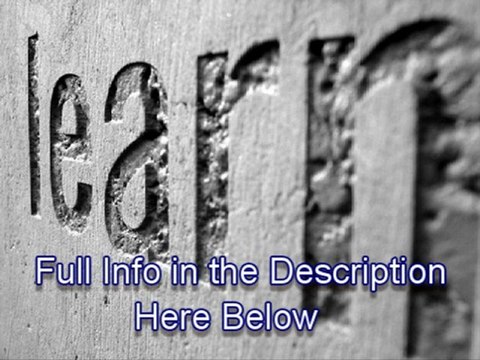 shaan stevens wellington,shaan stevens director