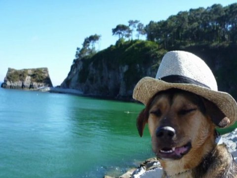 VOYAGE BZH DE CROZON AU MONT SAINT MICHEL 2010