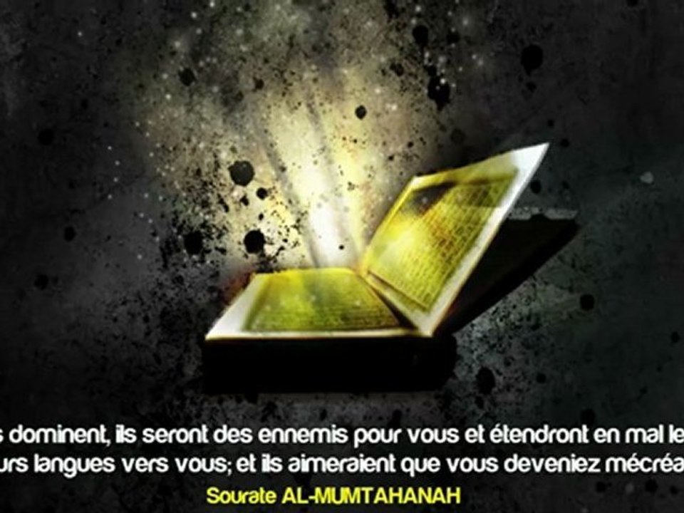 L'ONU se soucie du sang des Musulmans ?