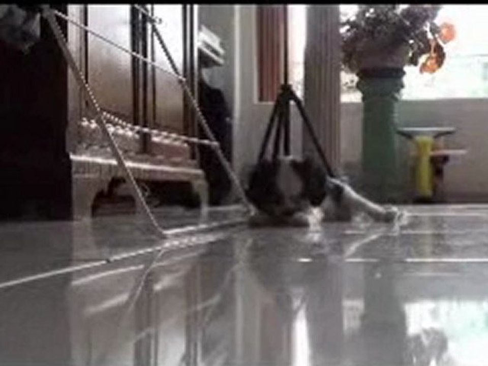 Holly chez ses nouveaux parents