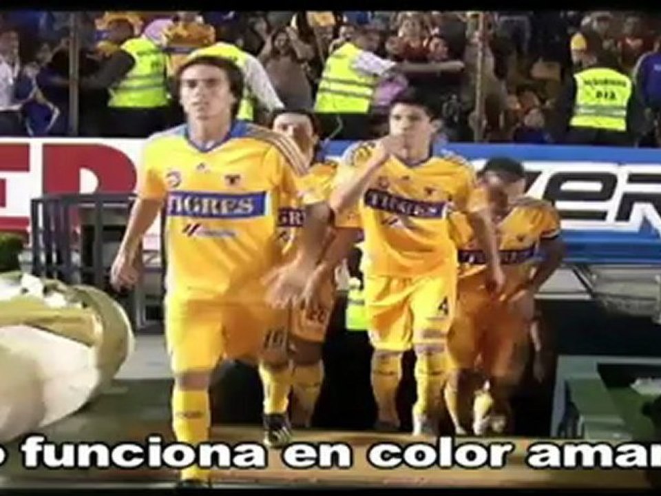 ''Tigres embrujados'' (Videogol)