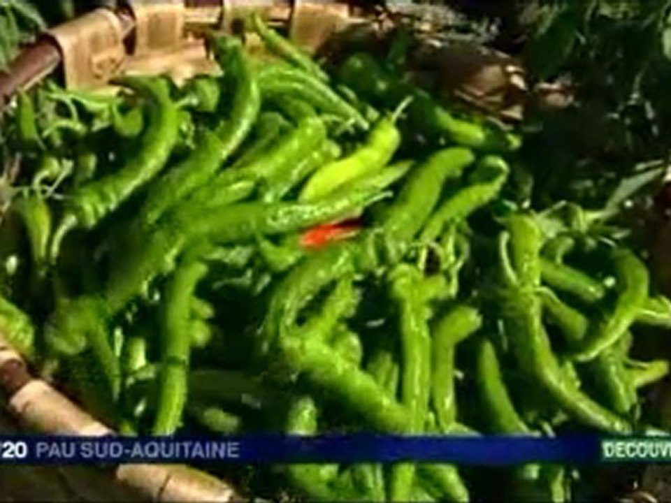 Le piment ultra doux du Pays Basque