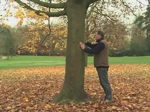 Magnétiseur guérisseur - François Girard