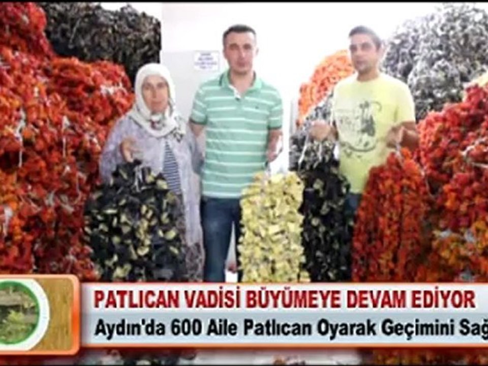 PATLICAN VADİSİ BÜYÜMEYE DEVAM EDİYOR