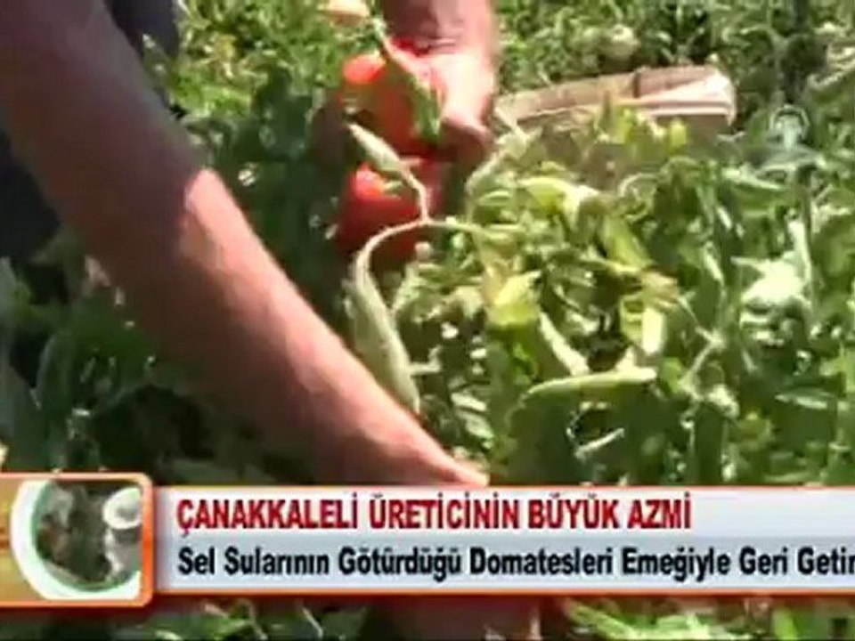 ÇANAKKALELİ ÜRETİCİNİN BÜYÜK AZMİ