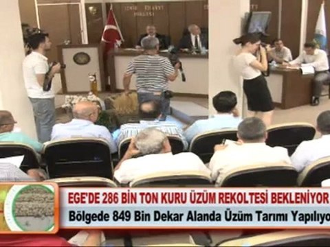 EGE’DE 286 BİN TON KURU ÜZÜM REKOLTESİ BEKLENİYOR