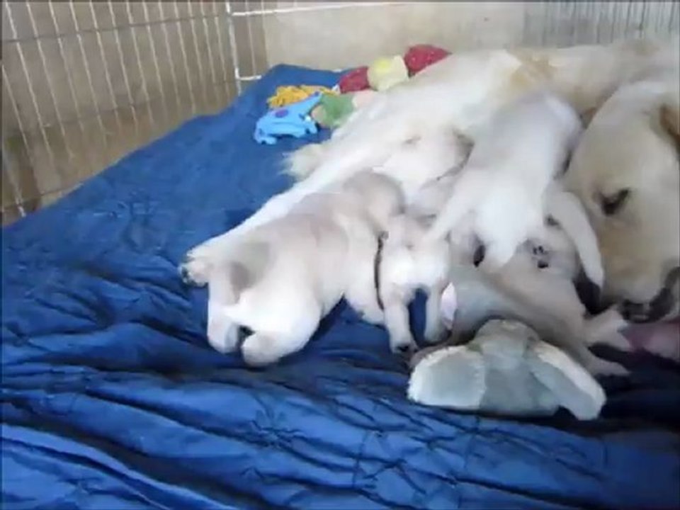 Le 08 août 2012 ça bouge, ça bouge