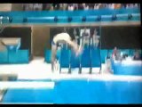 German Stephan Performing Dive Breaks His Neck