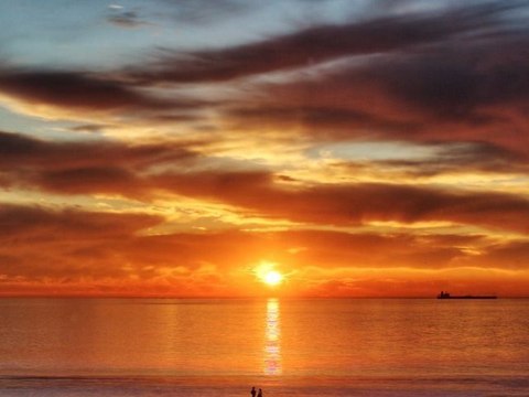 Vladi Markov-Tez ochi zeleni