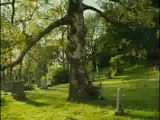 LAURENCE ANYWAYS - Bande-annonce VF