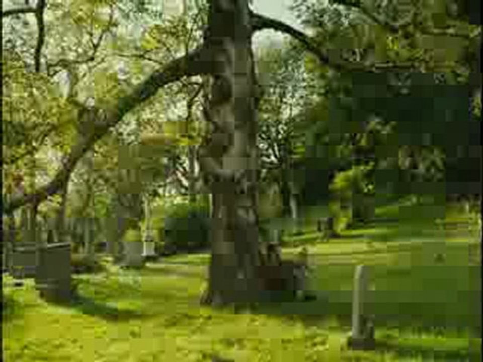 LAURENCE ANYWAYS - Bande-annonce VF