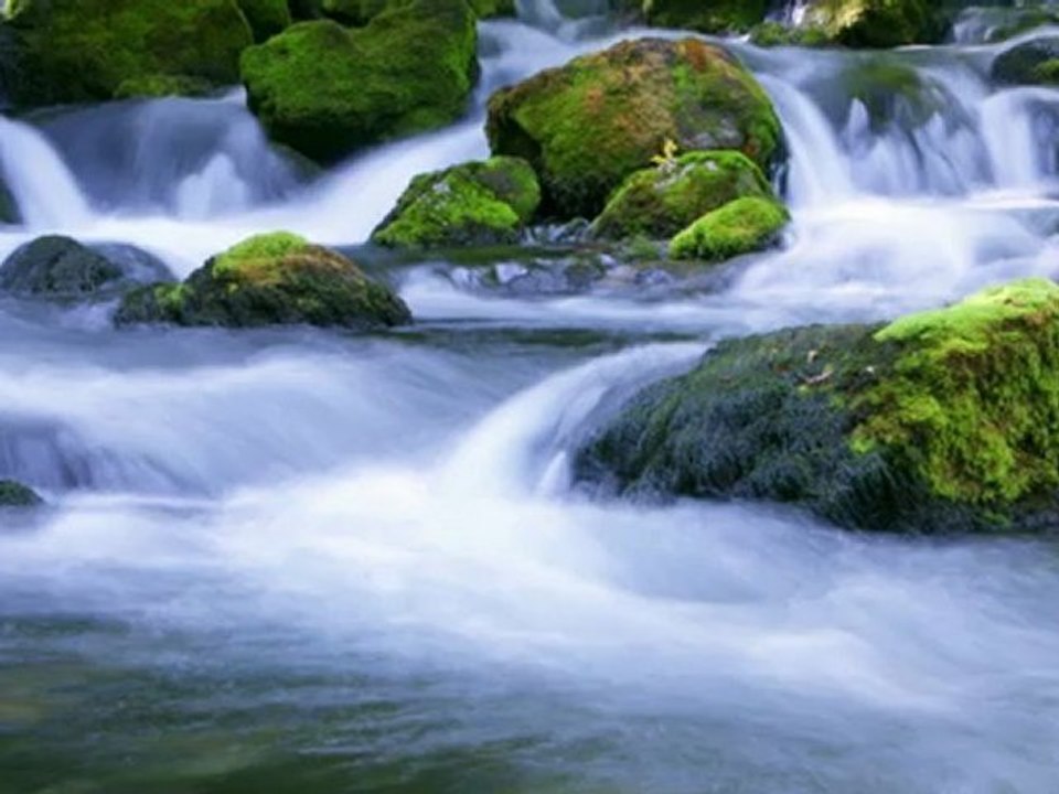 Nikon D800 Instructional Guide By Quickpro Camera Guides