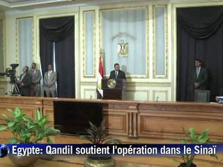 Egypte: le Premier ministre soutient l'opération dans le Sinaï