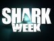 Shark Week - Chatons et chiots déguisés en requin