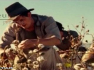 Robert Pattinson da la cara en un programa de televisión