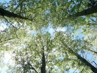 Agriculture et forêts : conférence "Droits de propriété et environnement" 2012 de l'ICREI