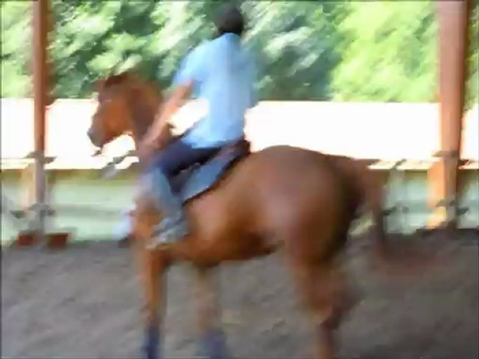 cso 26/07