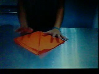 TABLE NAPKIN FOLDING