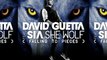03 David Guetta feat. Sia - She Wolf (Falling to Pieces) (Extended)