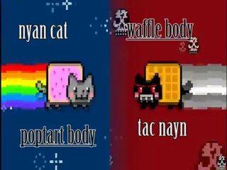 nyan cat & tac nayn dubstep