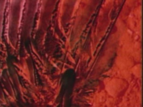 Spiral tribe - Forward The Revolution