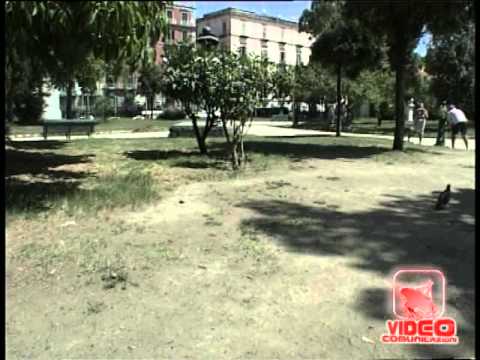 Video Napoli - Giardini e parchi di napoli nel degrado (08.08.12)