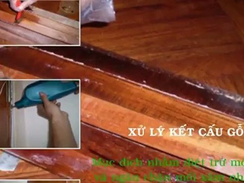 Dịch vụ diệt mối tại nhà l Diệt mối AN SINH.