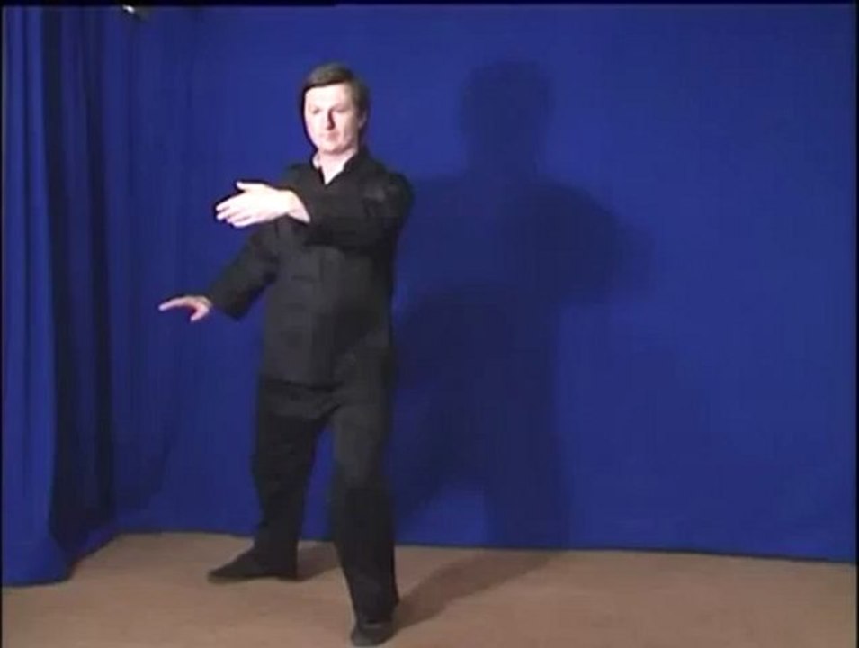 Yang Style Tai Chi Form Exercise Two