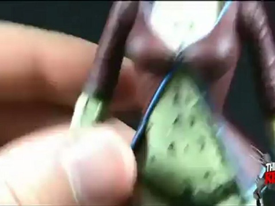 Toy Spot - DC Direct Batman Arkham Asylum Series 2 Poison Ivy