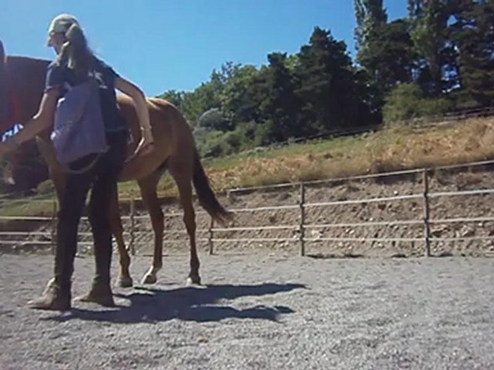 Thalie: désensibilisation au stick