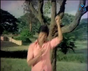 Bisi Bisi Kajjaya - Havina Hede | Telugu & Kannada Songs