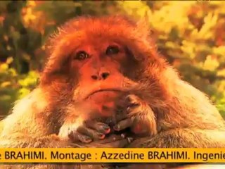 Un été chez nous - ep18