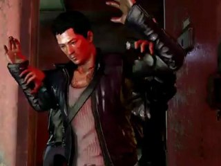 Sleeping Dogs - Fonctionnalités PC