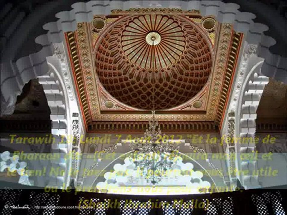 Tarawih 18 :  Et la femme de Pharaon dit «(Cet enfant) réjouira mon œil et le tien! Ne le tuez pas. Il pourrait nous être utile ou le prendrons-nous pour enfant». {Shaikh Ibrahim Mulla}