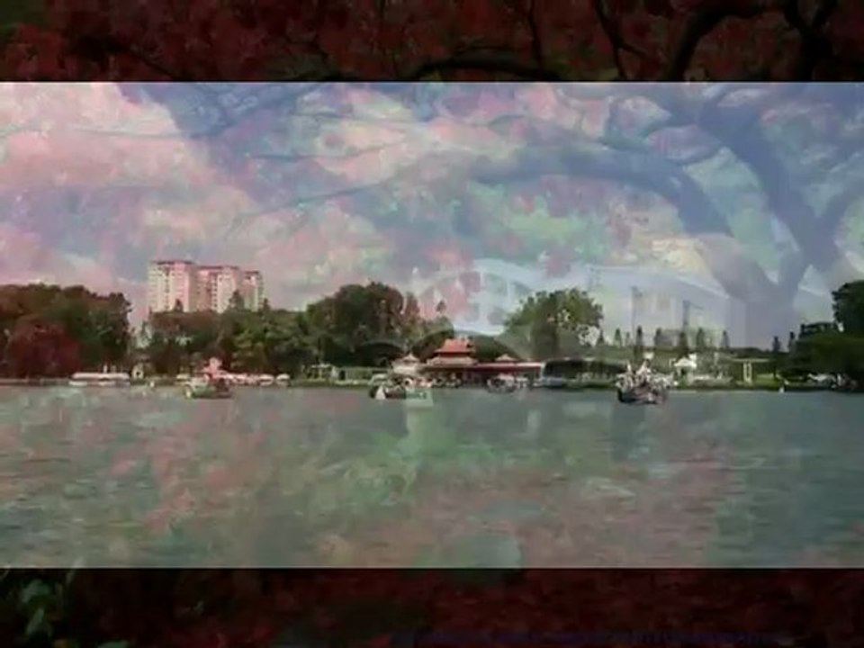 cho thue may chieu cho thuê máy chiếu cho thuê tivi lcd led giá rẻ 0919.11.35.11