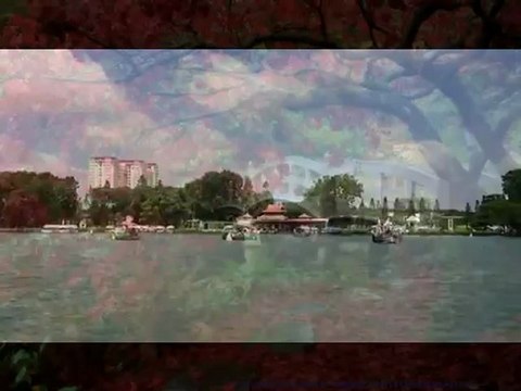 cho thue may chieu cho thuê máy chiếu cho thuê tivi lcd led giá rẻ 0919.11.35.11