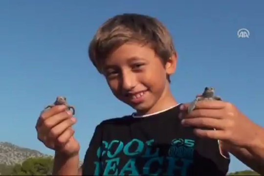 Caretta carettaların yolculuğu