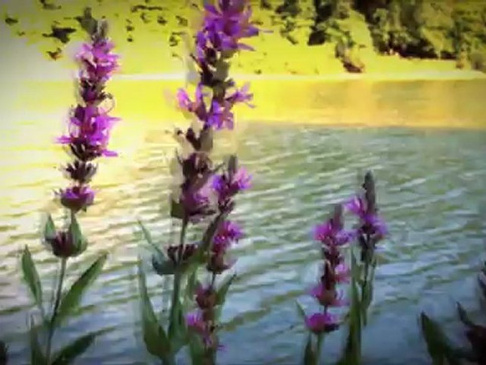 TOLGA ÖZKAN "Yoksun Artık" Video Klip