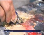 Reportage sur mon travail de peintre