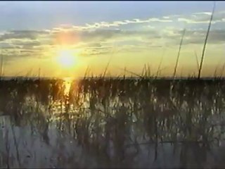 Lake Okeechobee, Big Water (SFWMD, June 2002)