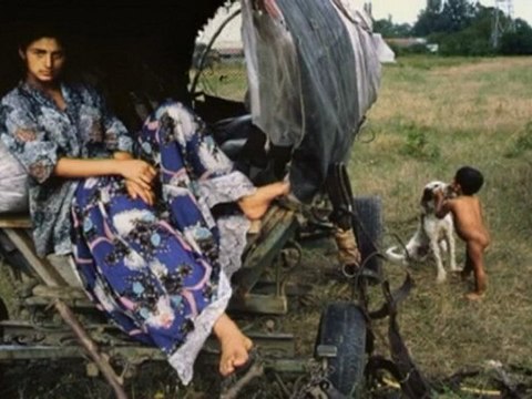 Часть 3. Джипси Тинкер