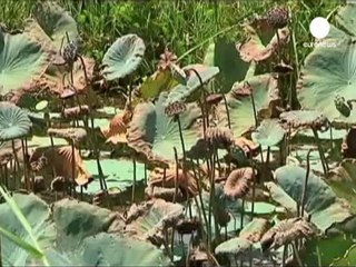 Vietnam'da savaştan arda kalan kimyasallar temizleniyor