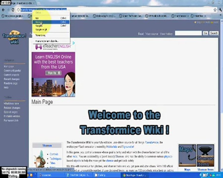 transformice kod ögretici