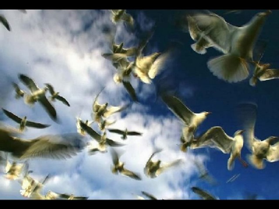 JİYAN- Müsadenizle