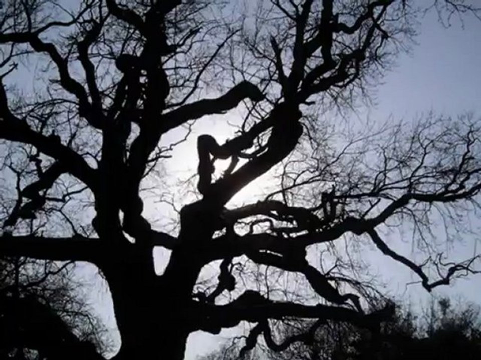 merhem tutmuyor yaralar