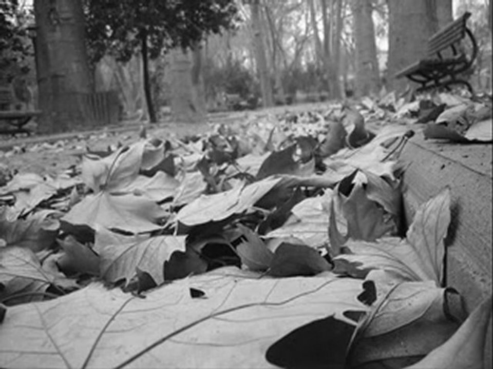 cengiz kurtoğlu Sensiz Cennet