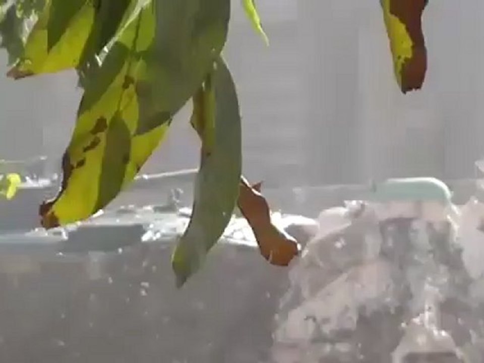 Syria فري برس ادلب    جانب من معارك كتيبة فجر الاسلام في كفرنبل   اشتباكات مع كتائب الاسد  9   8   2012