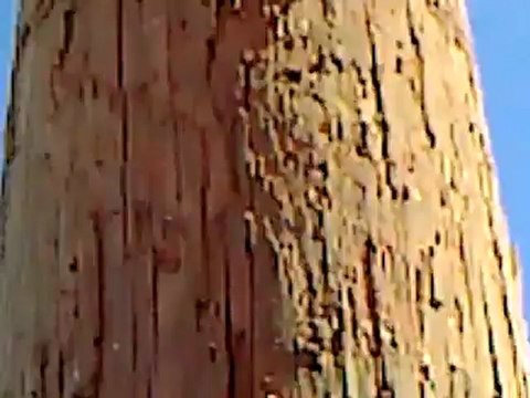 Syria فري برس حلب تل رفعت _ قصف بالطيران الحربي عل المدينة 9_8_2012ج2