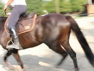 Séance monté du 9 Août 2012.6